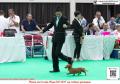 Klik untuk perbesar