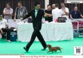 Klik untuk perbesar