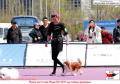 20160421-24 Maple leaf Ben Xi Dogshow
