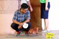 20160529 AmazingDograce 10 Cibubur