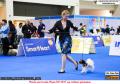 20160630 IMPACT Dogshow 2016