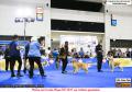 Klik untuk perbesar