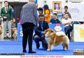 Klik untuk perbesar