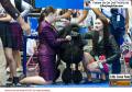 20160630 IMPACT Dogshow 2016