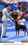 Klik untuk perbesar