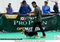 Klik untuk perbesar