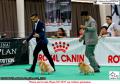 20160806 The Jakarta Dog Show - Day 1