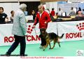 20160806-07 The Jakarta Dog Show