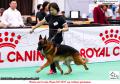Klik untuk perbesar