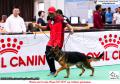 Klik untuk perbesar