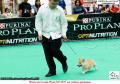 Klik untuk perbesar