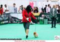 Klik untuk perbesar