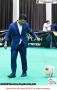 20160807 The Jakarta Dog Show - Day 2