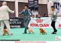 Klik untuk perbesar