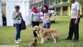20161106 Proplan Booth camp