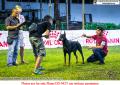 20161204 KDI & KMPI Speciality & Dobermann Of The Year