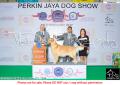 20170204 PERKIN Jaya show