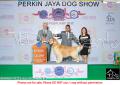 Klik untuk perbesar
