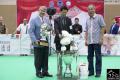 Klik untuk perbesar