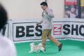 20180407 3rd Pasundan Dog Show