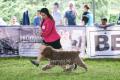 20180407 3rd Pasundan Dog Show
