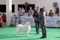 20180407 3rd Pasundan Dog Show