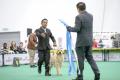 20180413 MKA APAC Dog Show