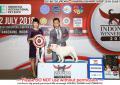 Klik untuk perbesar