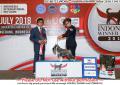 Klik untuk perbesar