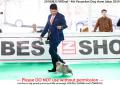 Klik untuk perbesar