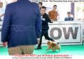 Klik untuk perbesar