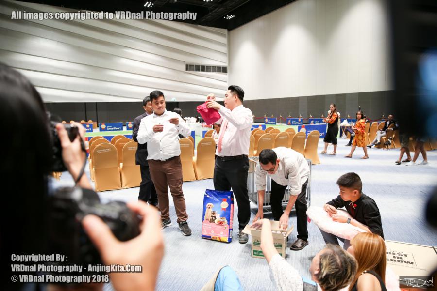 20180908 Thailand Central Korat Dog Show Society 2018
