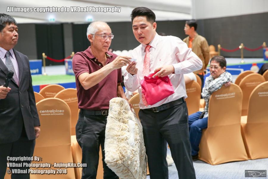 20180908 Thailand Central Korat Dog Show Society 2018