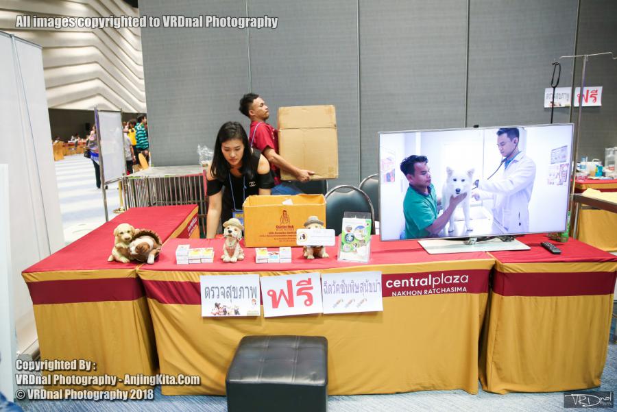 20180908 Thailand Central Korat Dog Show Society 2018