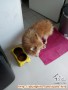 Hibah Mini Pom Nurut