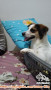 Mencari Adopter Baru