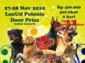 Medan Dogshow & Ujian Karya Guna