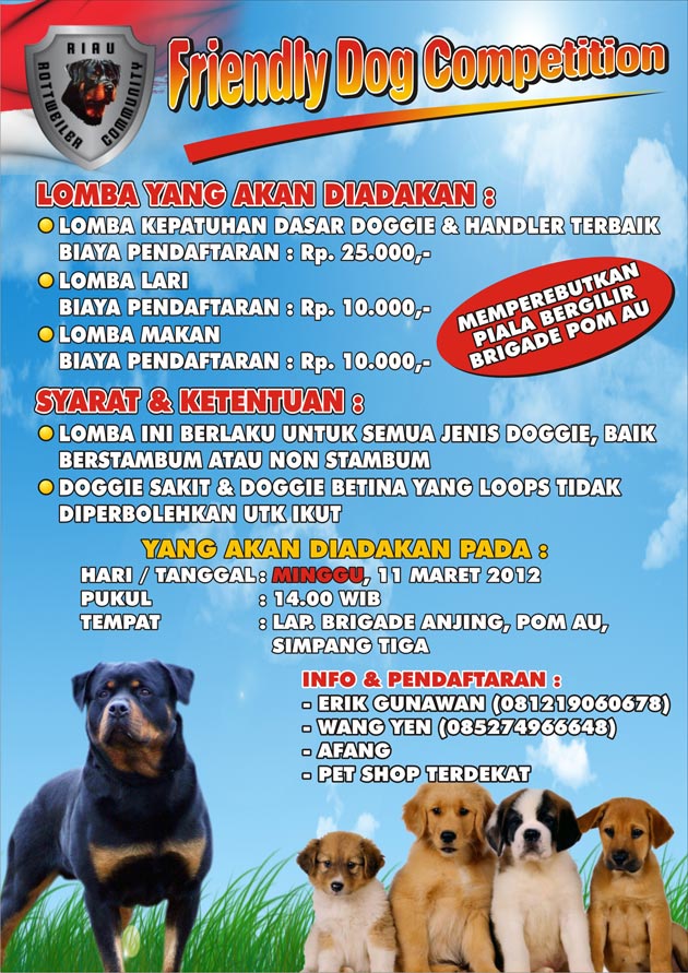 Friendly Dog Competition Dog Gathering Anjingkita Com