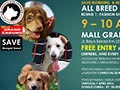 All Breed Dog Show - Jakarta Dog Lovers