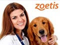 Artikel Anjing Dari Zoetis